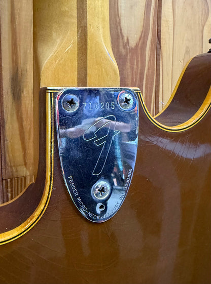 Fender 1976 Starcaster - Walnut - Pre-Loved