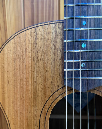 Cole Clark AN2EC Angel 2 All Blackwood Acoustic Guitar -Rosewood Fingerboard