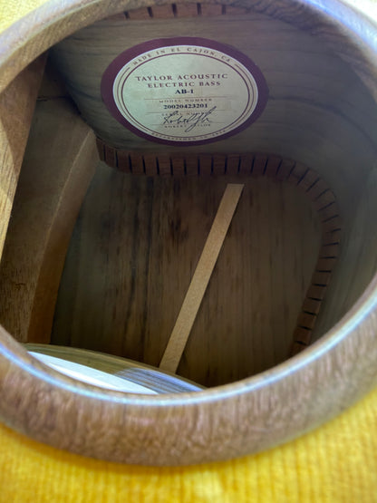 Taylor AB-1 Acoustic Bass w/pickup & Gig Bag - Pre-Loved