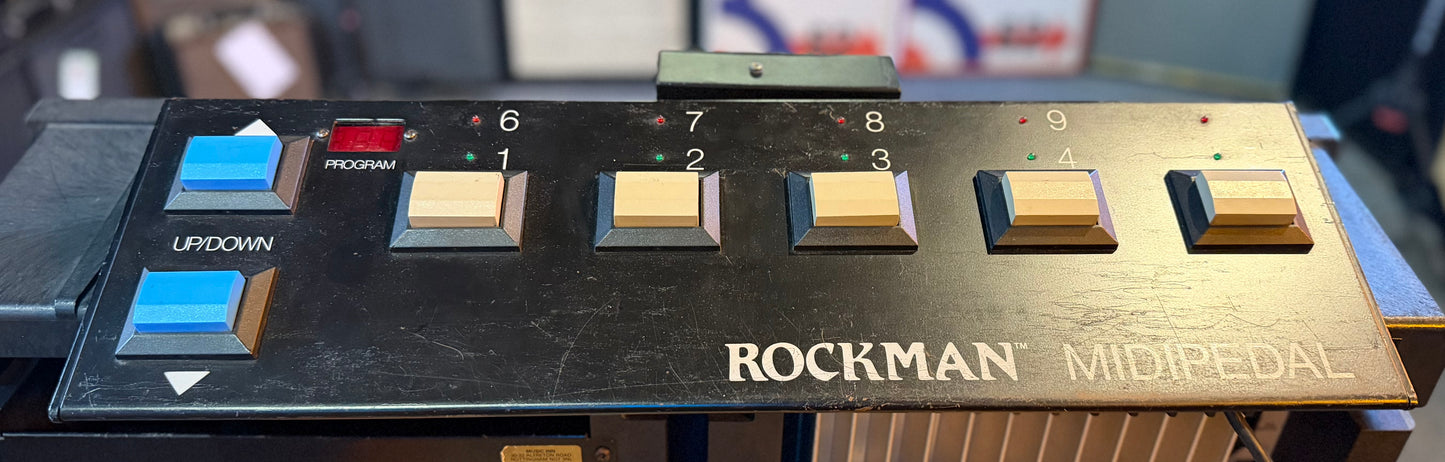 Rockman XP 100 Stereo Combo Amplifier by Tom Scholz - Pre-Loved