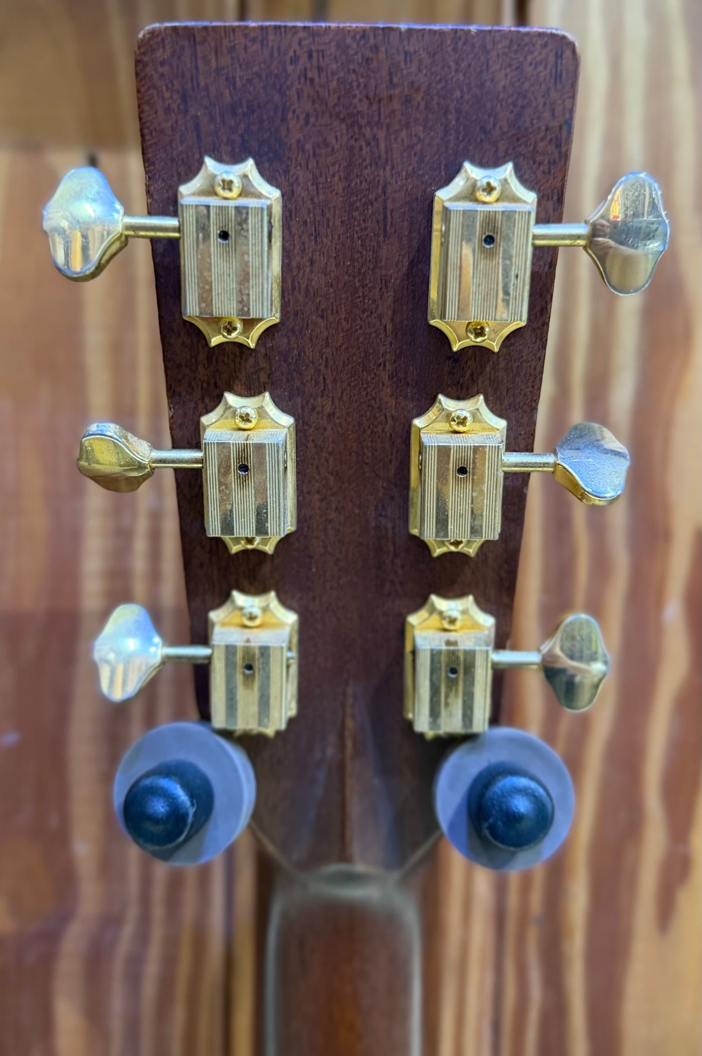Tanglewood TW15 HC FPP Dreadnought w/ Upgraded Preamp - Pre-Loved