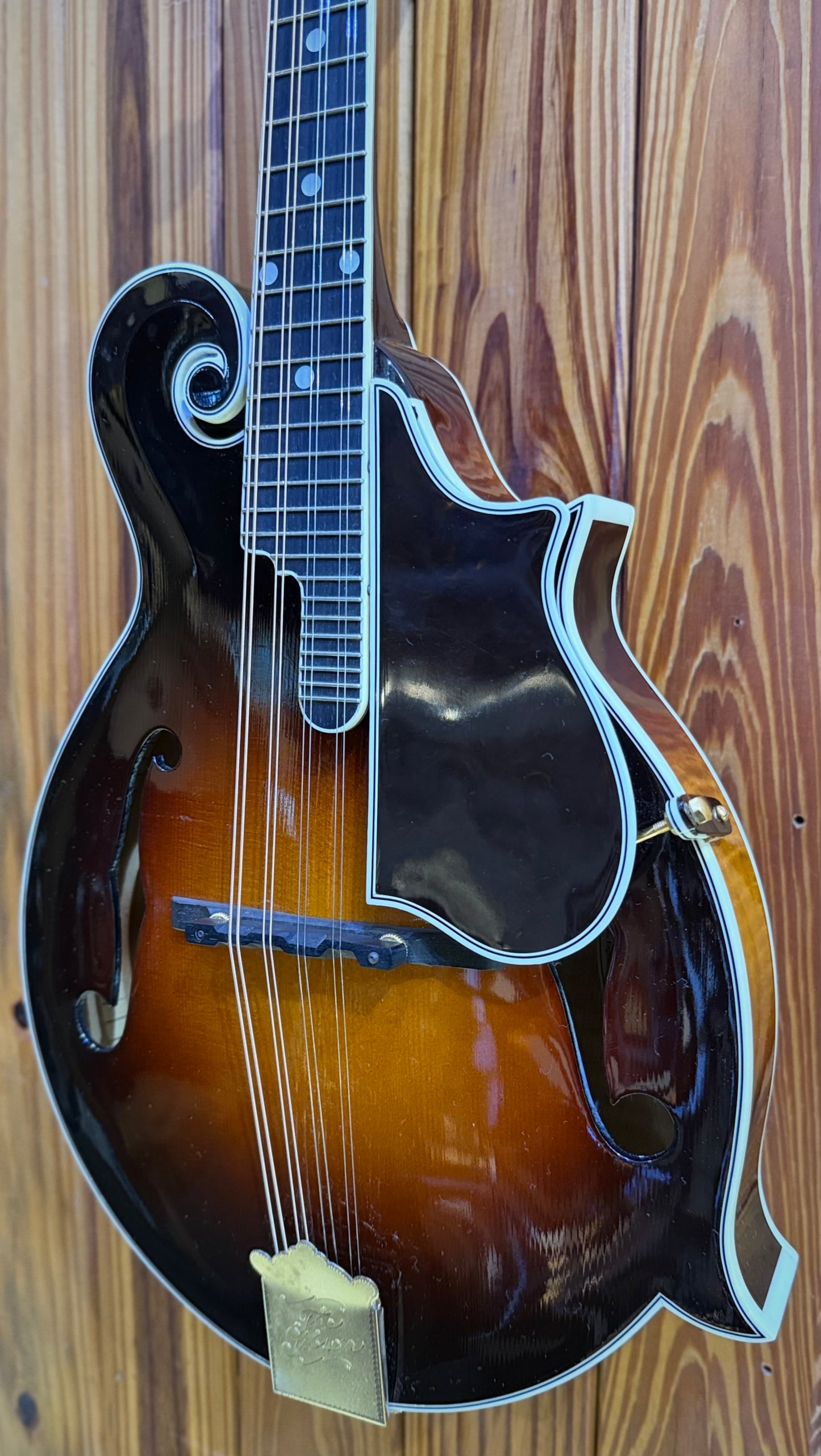 Gibson Master Model F5L 2007 'Fern' Mandolin - Pre-Loved