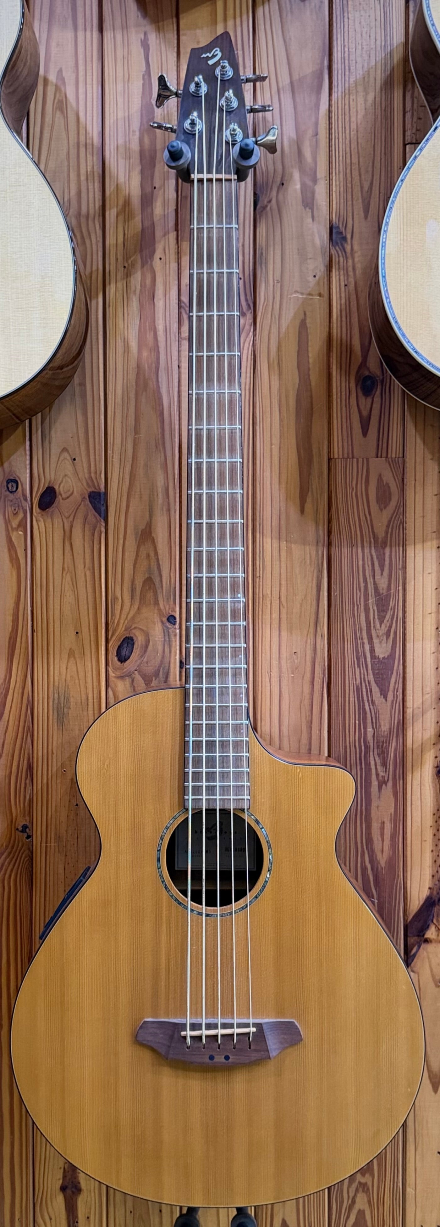 Breedlove ABJ250/SM5 5-String Acoustic Bass - Pre-Loved