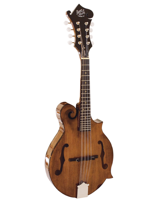 Barnes & Mullins BM650 Salvino Mandolin