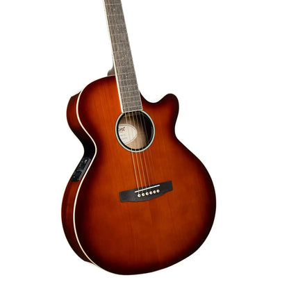 Cort Exotic-SFX Acoustic Guitar - Myrtlewood Sunburst