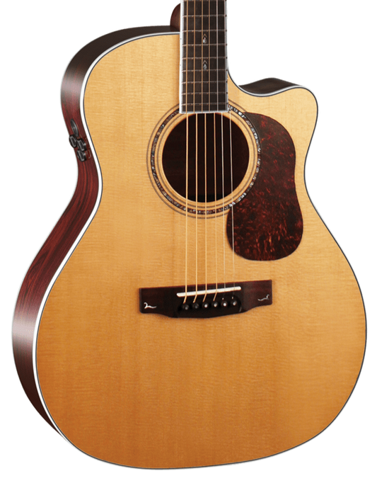 Cort Gold A8 Acoustic Guitar