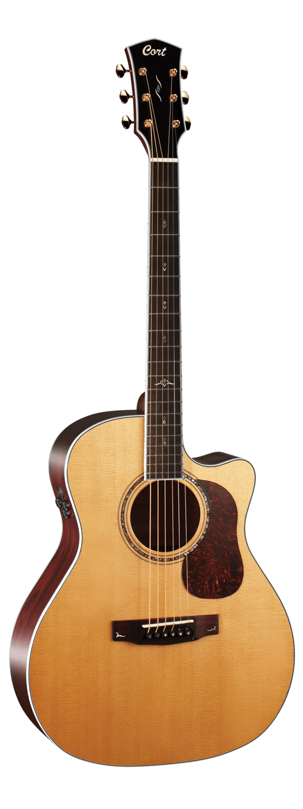 Cort Gold A8 Acoustic Guitar
