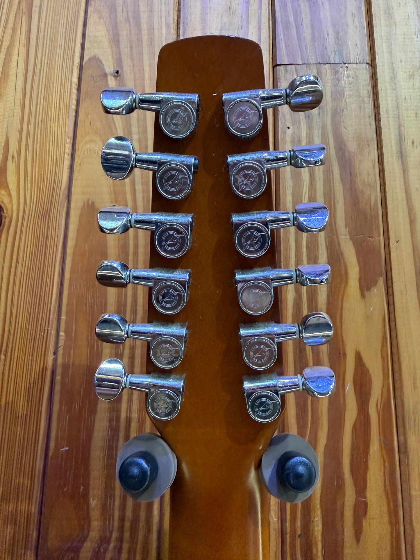 Seagull Coastline S12 12-String Acoustic Guitar - Pre-Loved