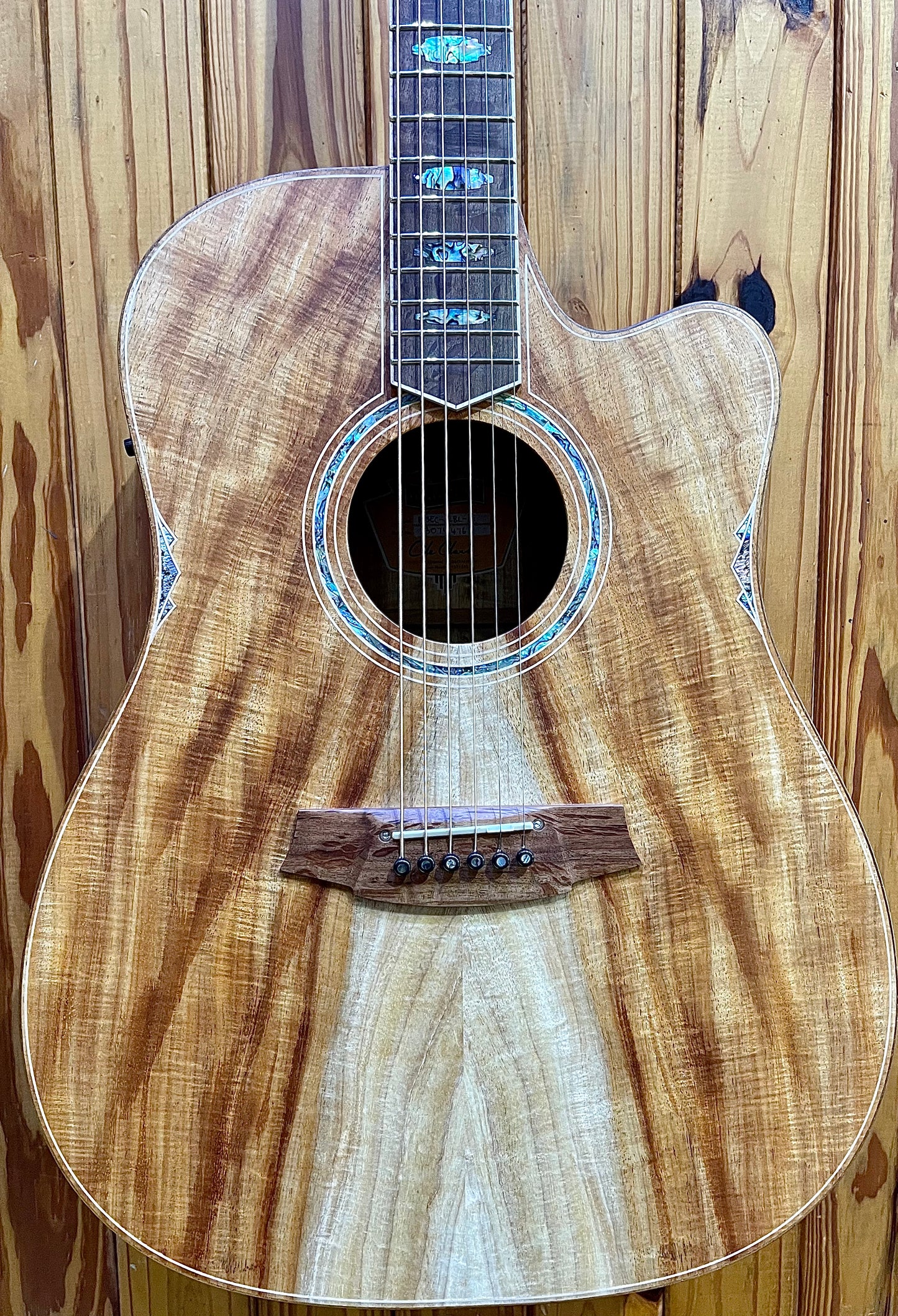 Cole Clark Fat Lady CCFL3EC-BLBL-AE - Blackwood/Blackwood 'Australian Eco'