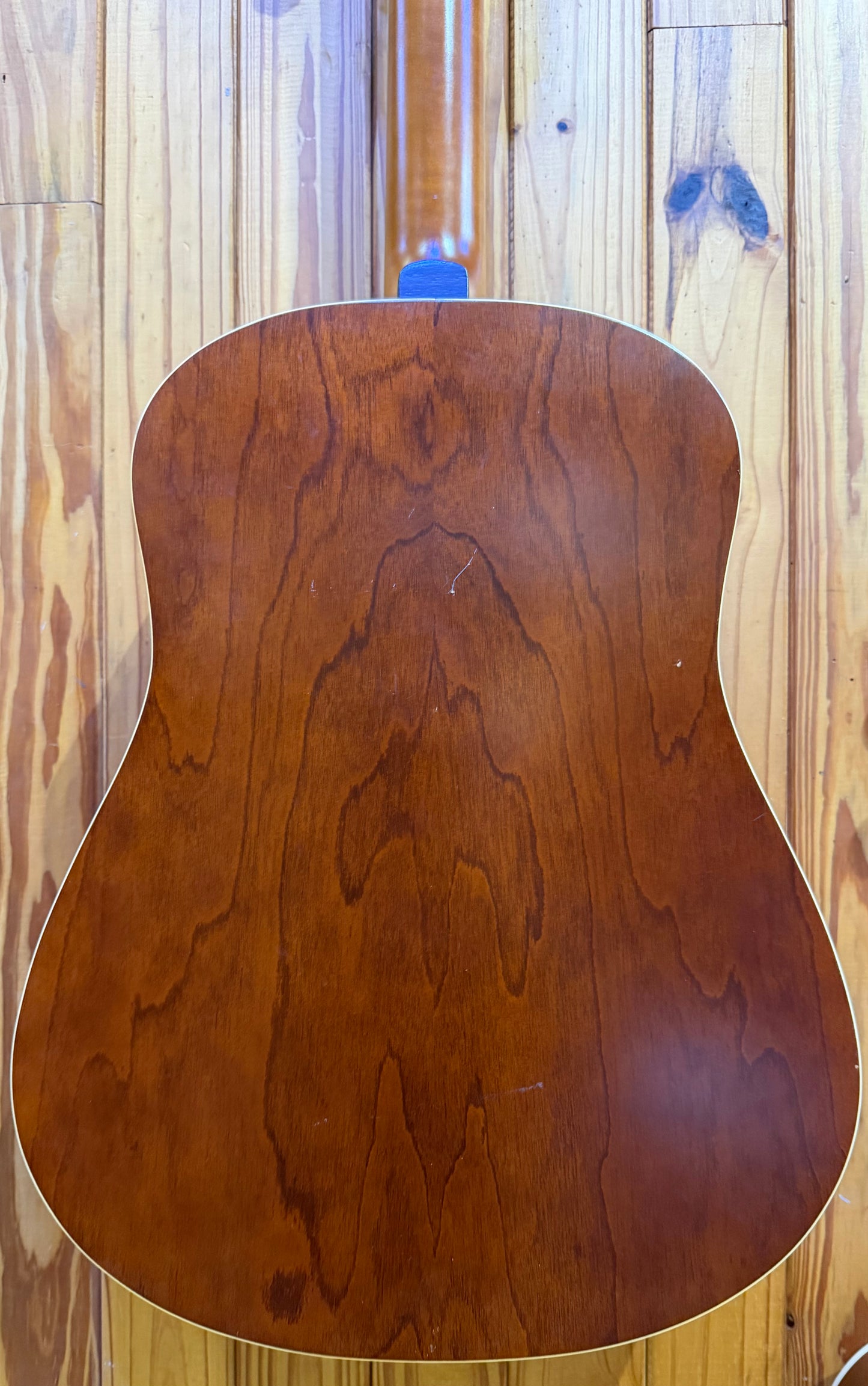 Seagull Coastline S12 12-String Acoustic Guitar - Pre-Loved