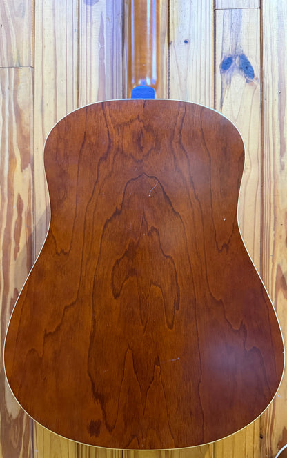 Seagull Coastline S12 12-String Acoustic Guitar - Pre-Loved