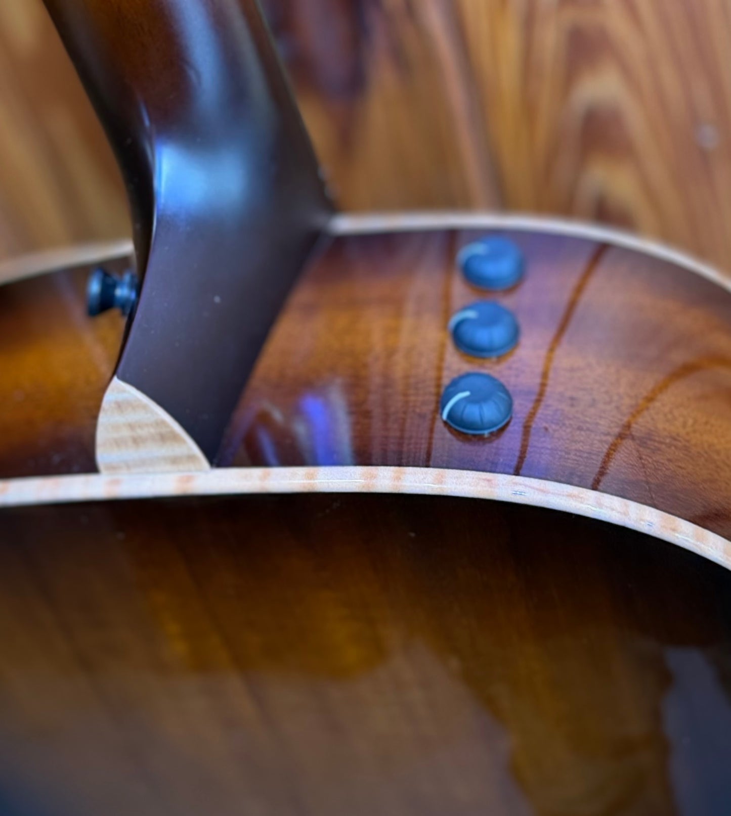Taylor Custom Shop Twelve Fret  - Black Top Acoustic Guitar - Pre-Loved