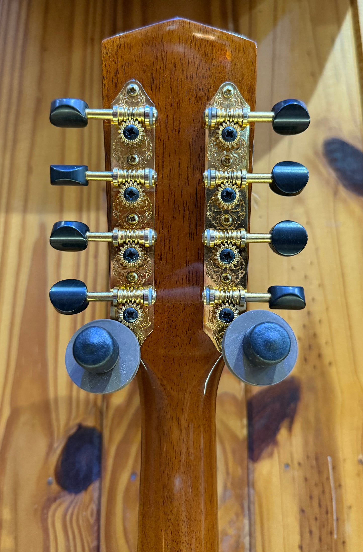 Trinity College TM-450 Solid Celtic Mandolin Spruce/Rosewood - Pre-Loved