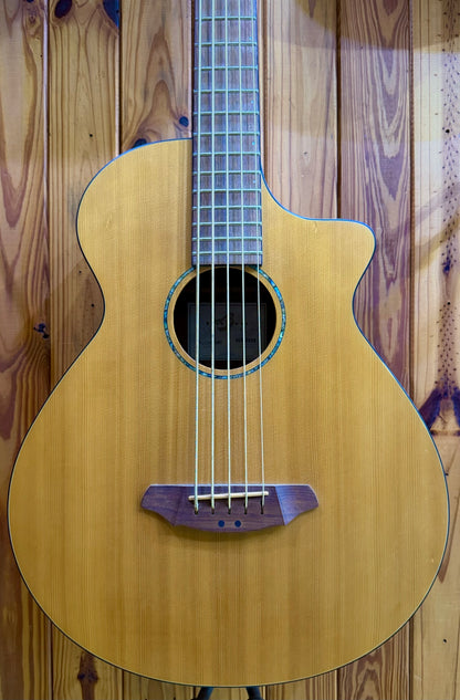 Breedlove ABJ250/SM5 5-String Acoustic Bass - Pre-Loved