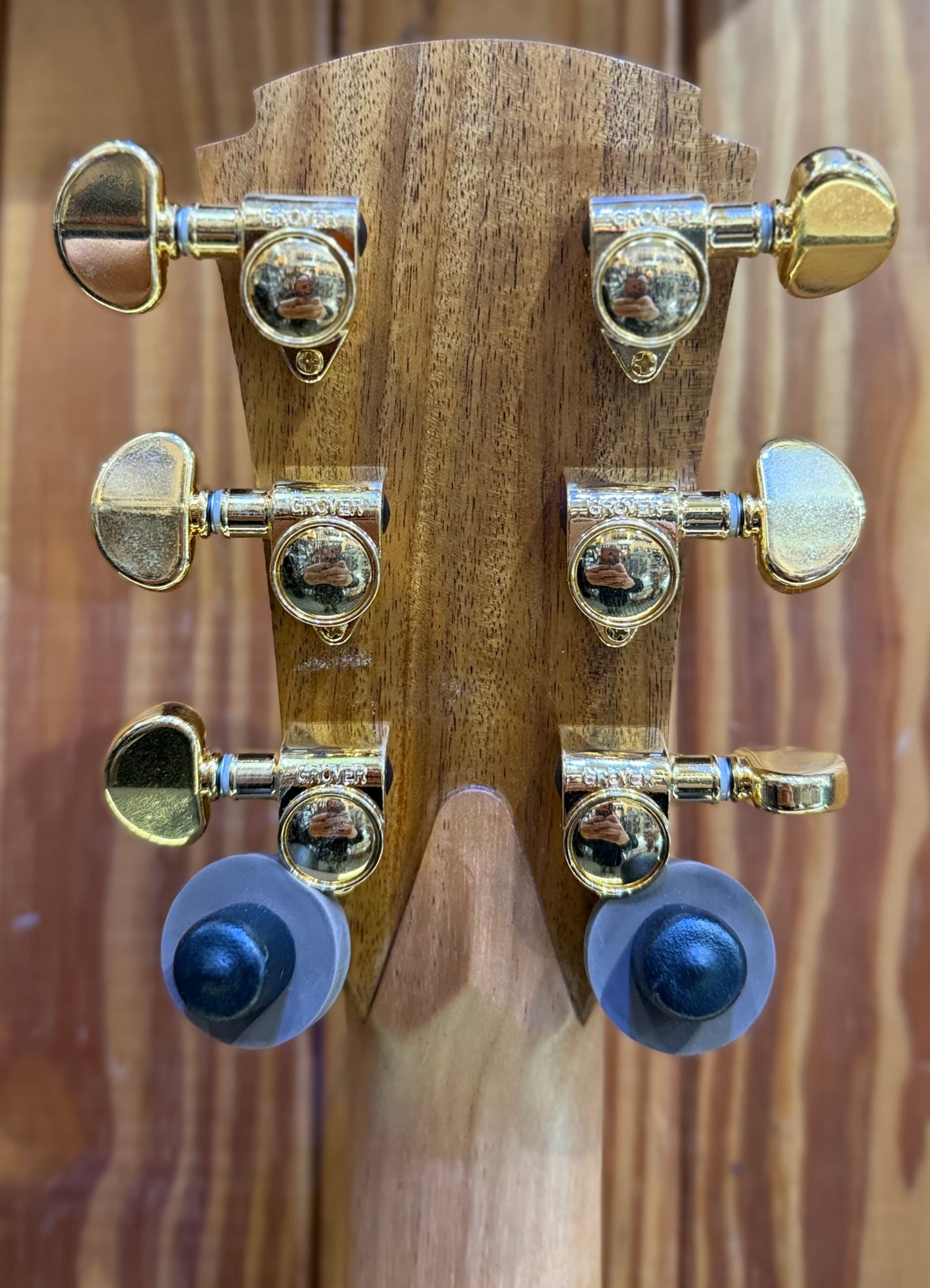 Cole Clark 'Studio Recording Series' Angel AN2EC-RRE - All Rosewood