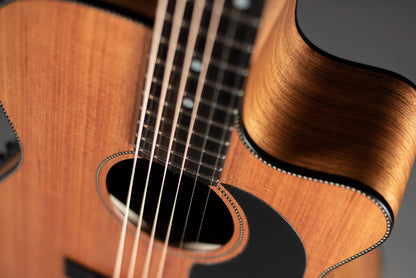 Maton EBW808C Blackwood Acoustic Guitar with Hard Case