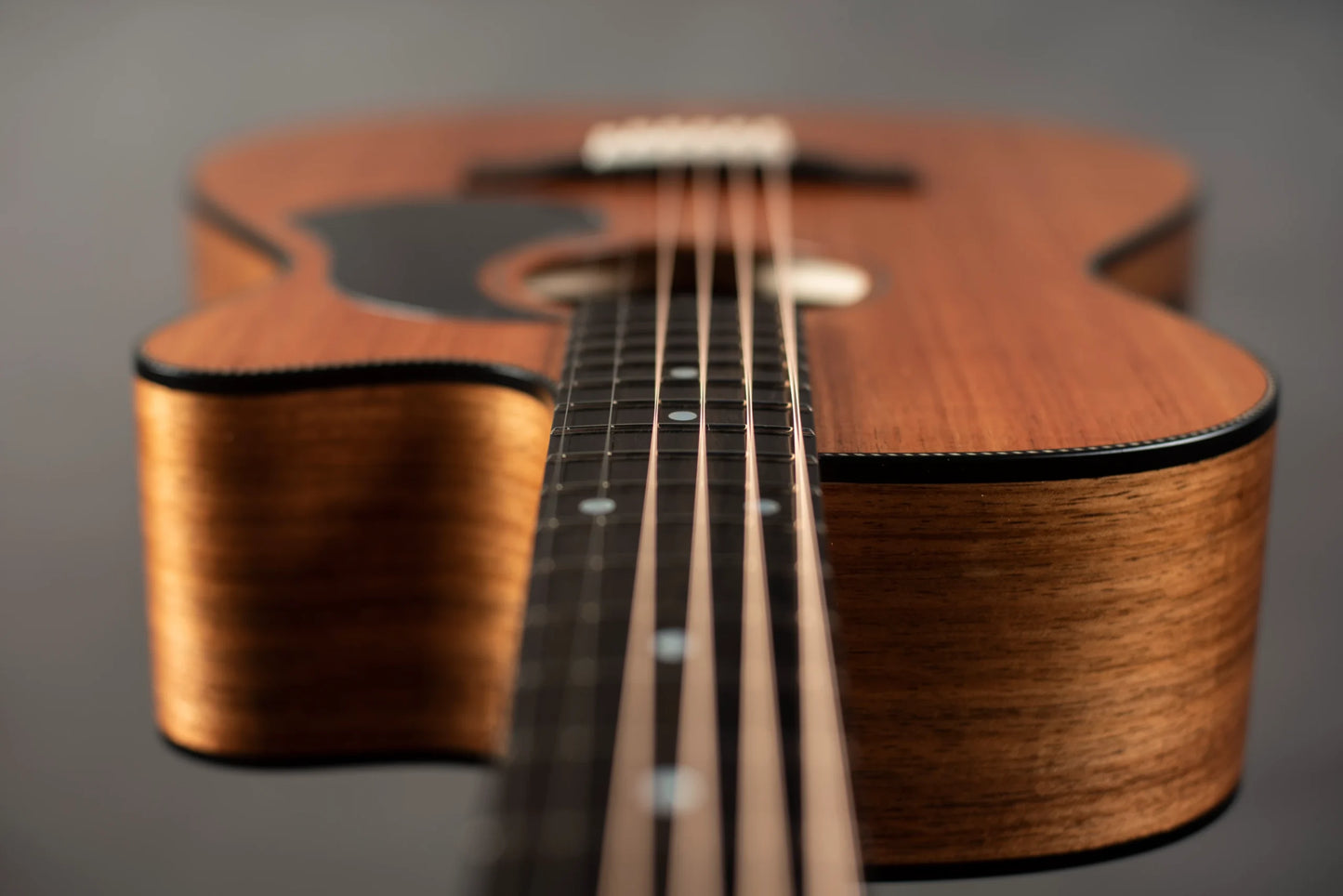 Maton EBW808C Blackwood Acoustic Guitar with Hard Case