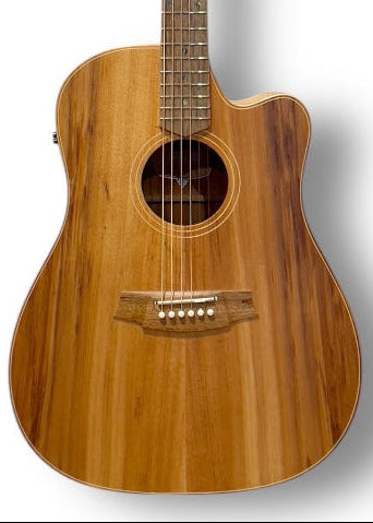 Cole Clark Fat Lady 2EC - All Solid Blackwood