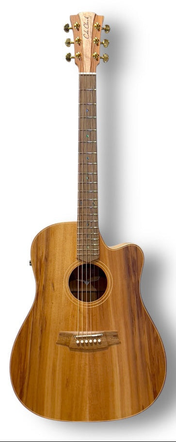 Cole Clark Fat Lady 2EC - All Solid Blackwood
