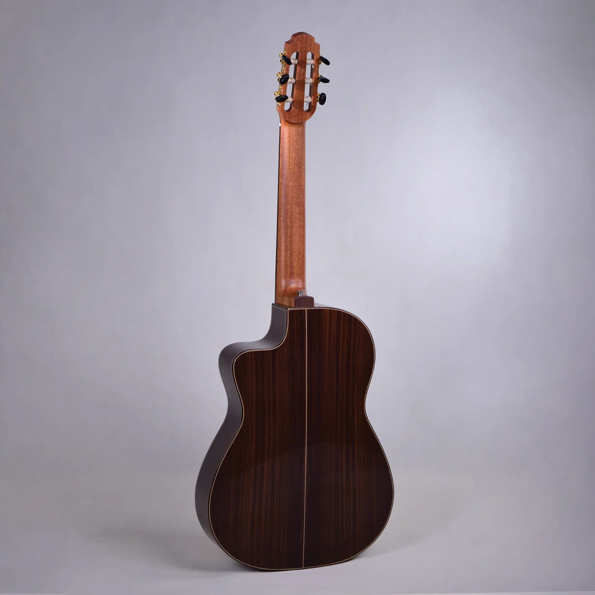 Altamira FZ-2 Fusion Classical Guitar
