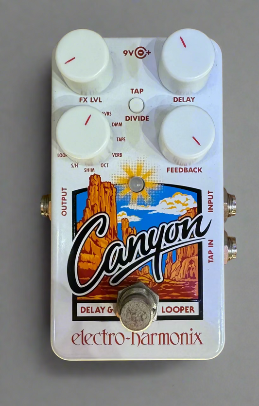 Electro-Harmonix Canyon delay and looper pedal on a wooden surface