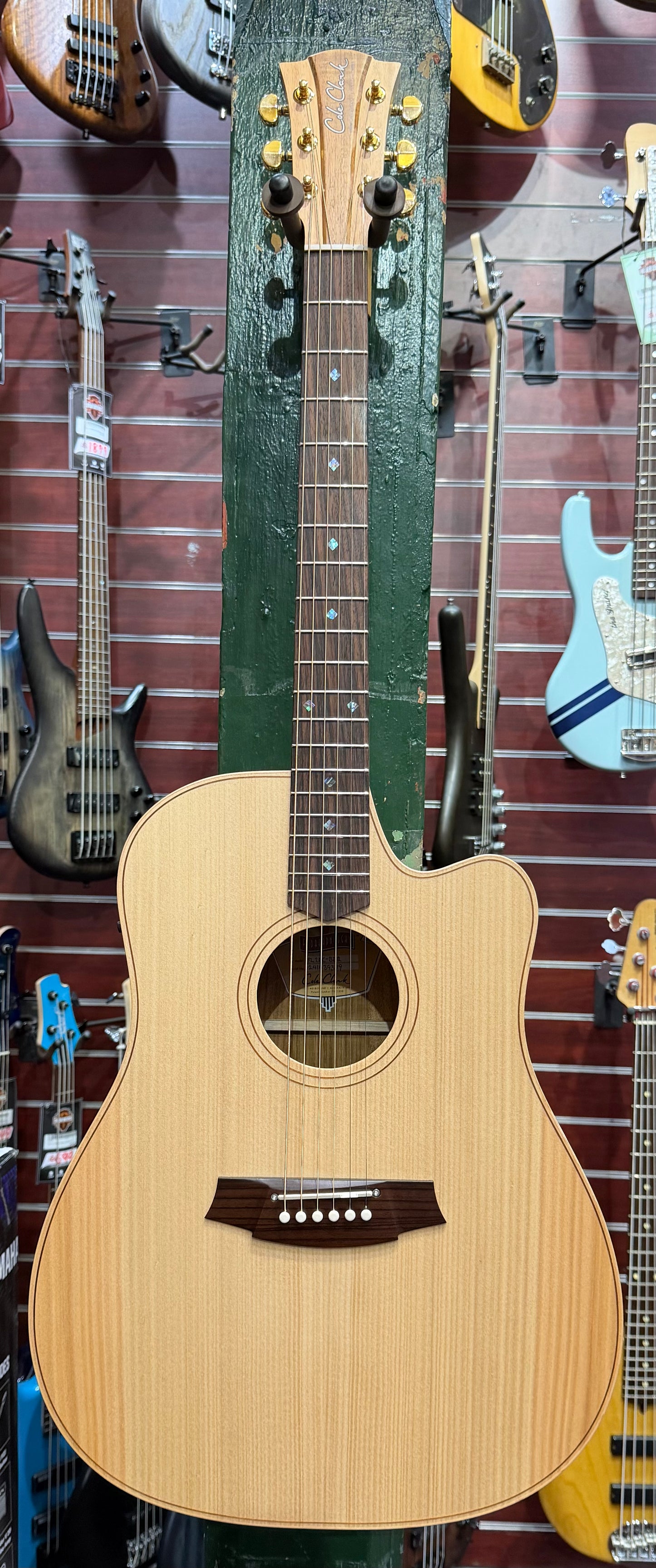 Cole Clark Fat Lady 2EC - Bunya Top/Blackwood Back & Sides Rosewood Fingerboard