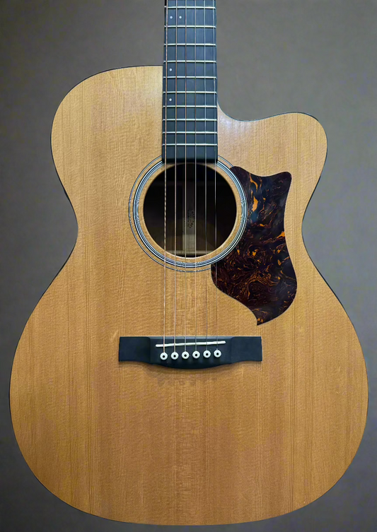 Martin & Co OMCPA4 - Performing Artist Series w/ Fishman Aura Pickup - Pre-Loved