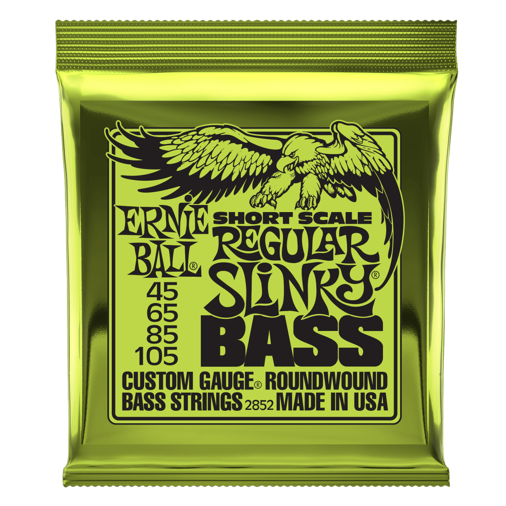 Ernie Ball Short Scale Bass 45-105