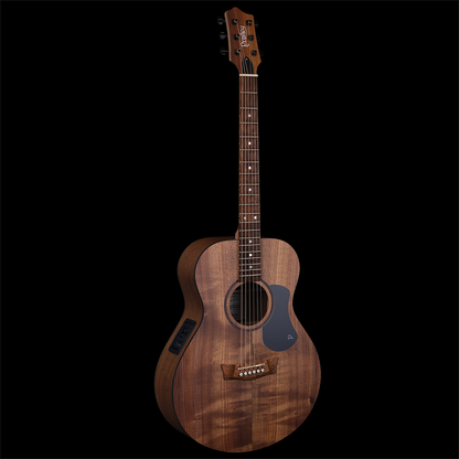Pratley PRC-SE-BWBW Classic Series Concert Model Solid Blackwood, w/ Pickup & Gigbag