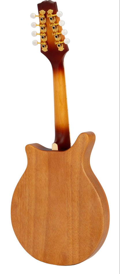 Bryden SMA80 Contemporary Arch Top Mandolin