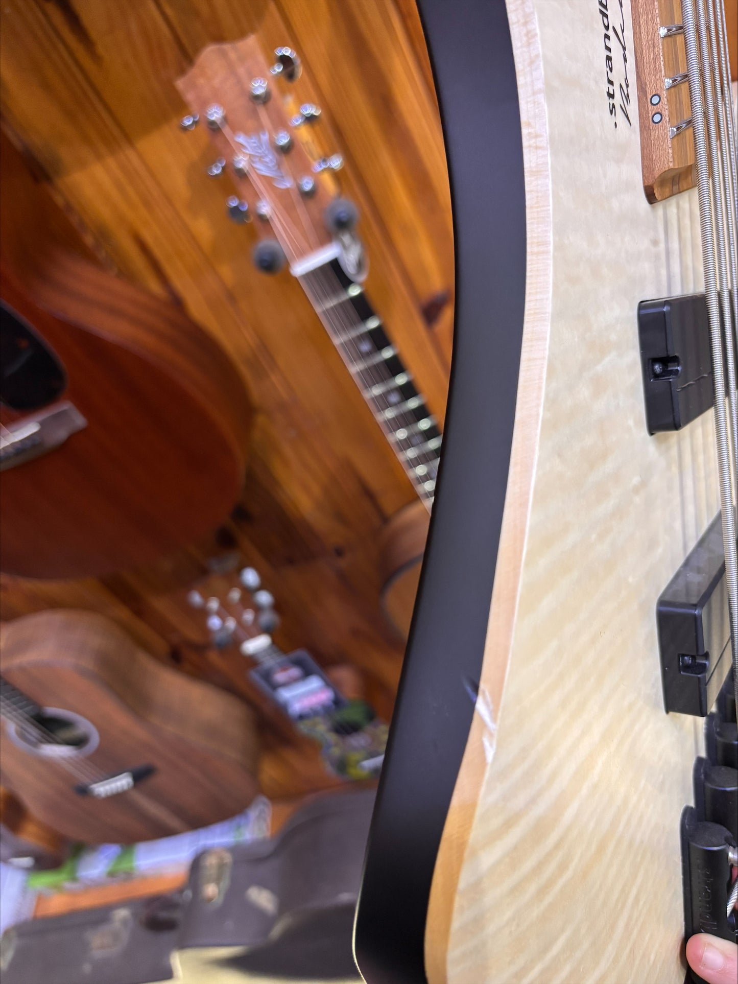 Strandberg Boden Bass Standard 5 - Natural - B-STOCK