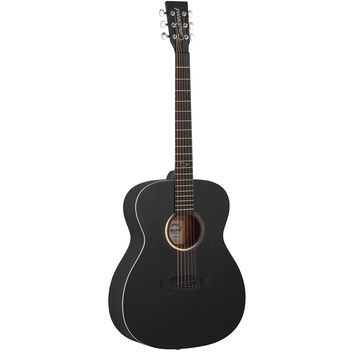 Tanglewood TWBBO Blackbird Orchestra - Smokestack Satin