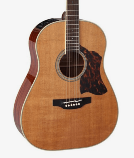 Takamine Guitars