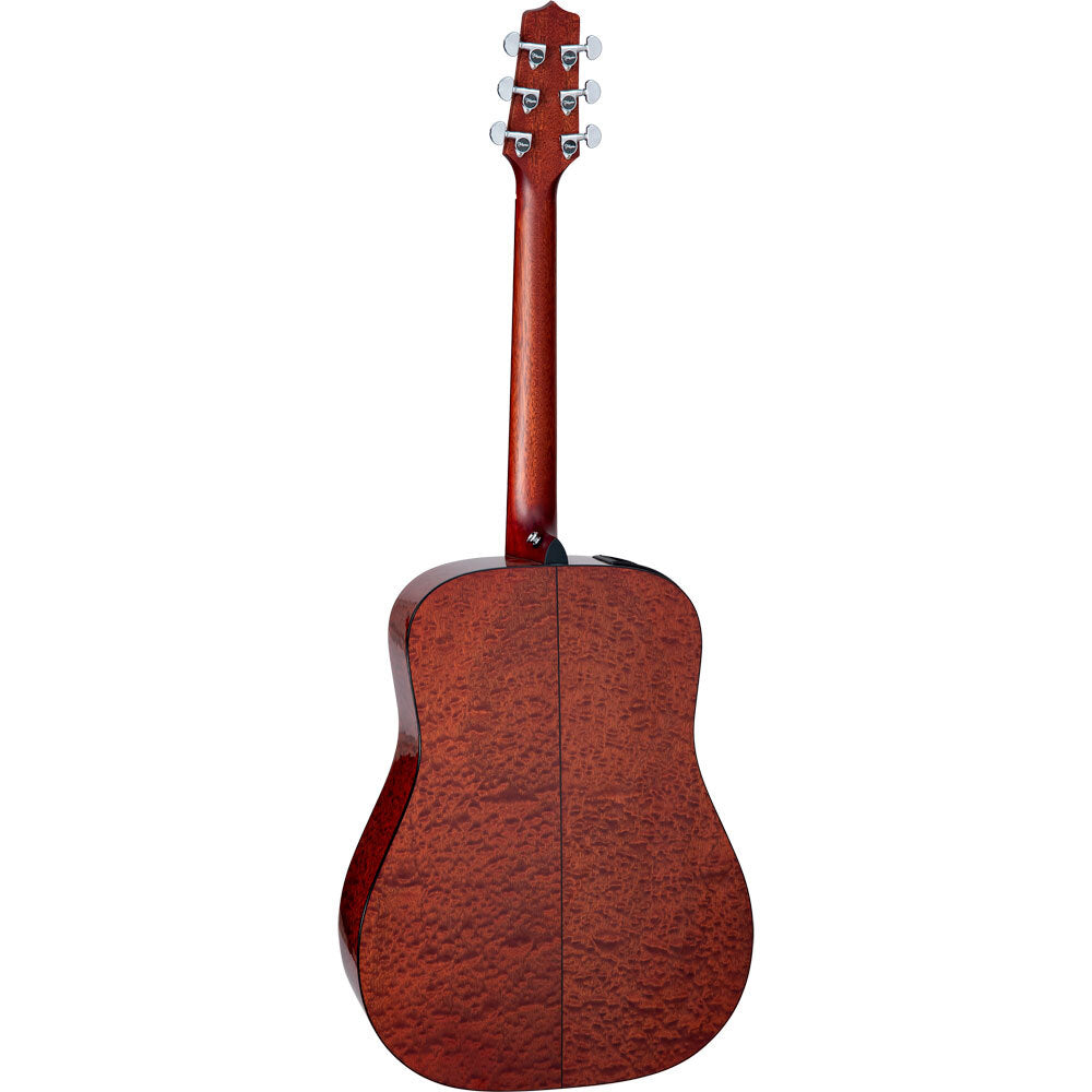Takamine FT340-BS Limited Series AC/EL - Natural Gloss