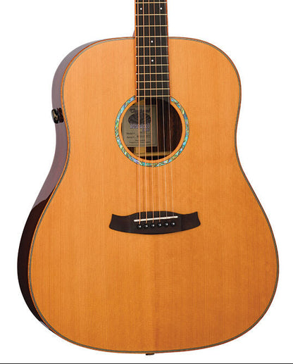 Tanglewood TRS5-SE Rosewood Smart Slope Shoulder Dreadnought Acoustic Guitar