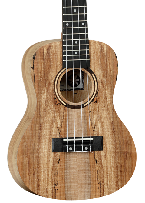 Tanglewood TWT10 Tiare Ukulele - Concert - Spalted Maple w/ Gigbag