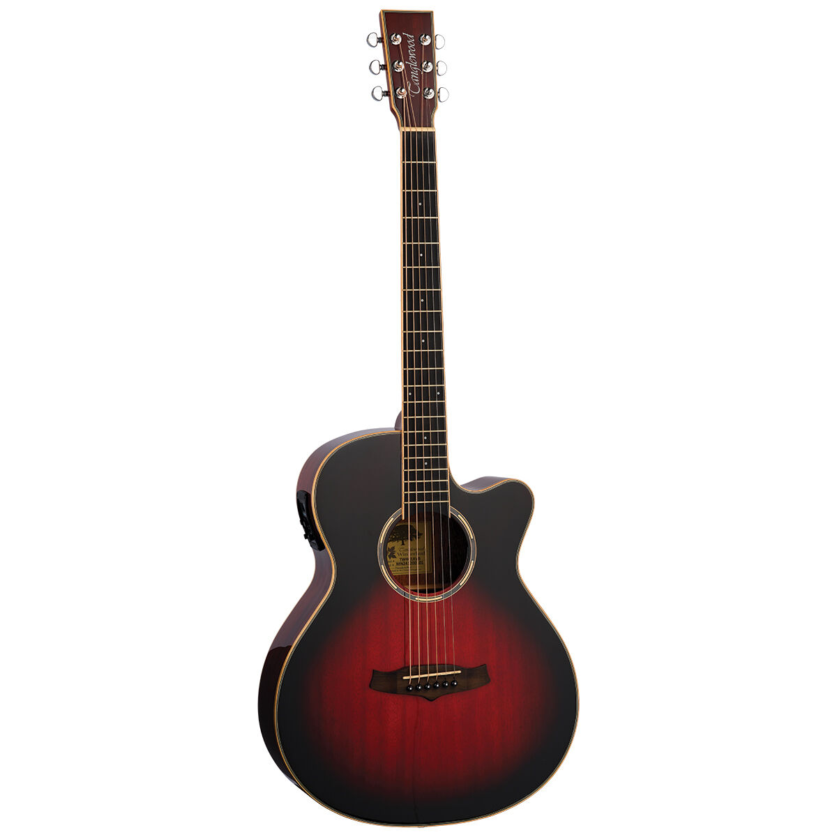 Tanglewood Winterleaf Pro Super Folk - Antique Vintage Burst
