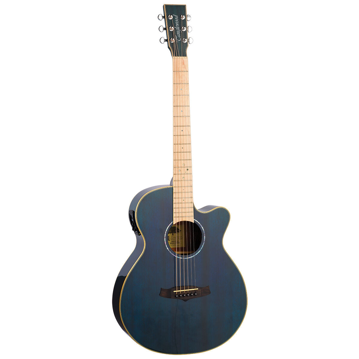 Tanglewood Winterleaf Pro Super Folk Acoustic Guitar - Bondi Blue