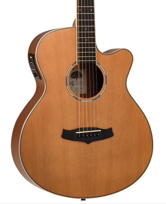 Tanglewood Winterleaf Pro Super Folk Acoustic Guitar - Satin Finish