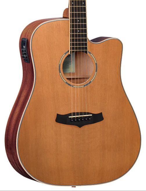 Tanglewood Winterleaf Pro Dreadnought Acoustic