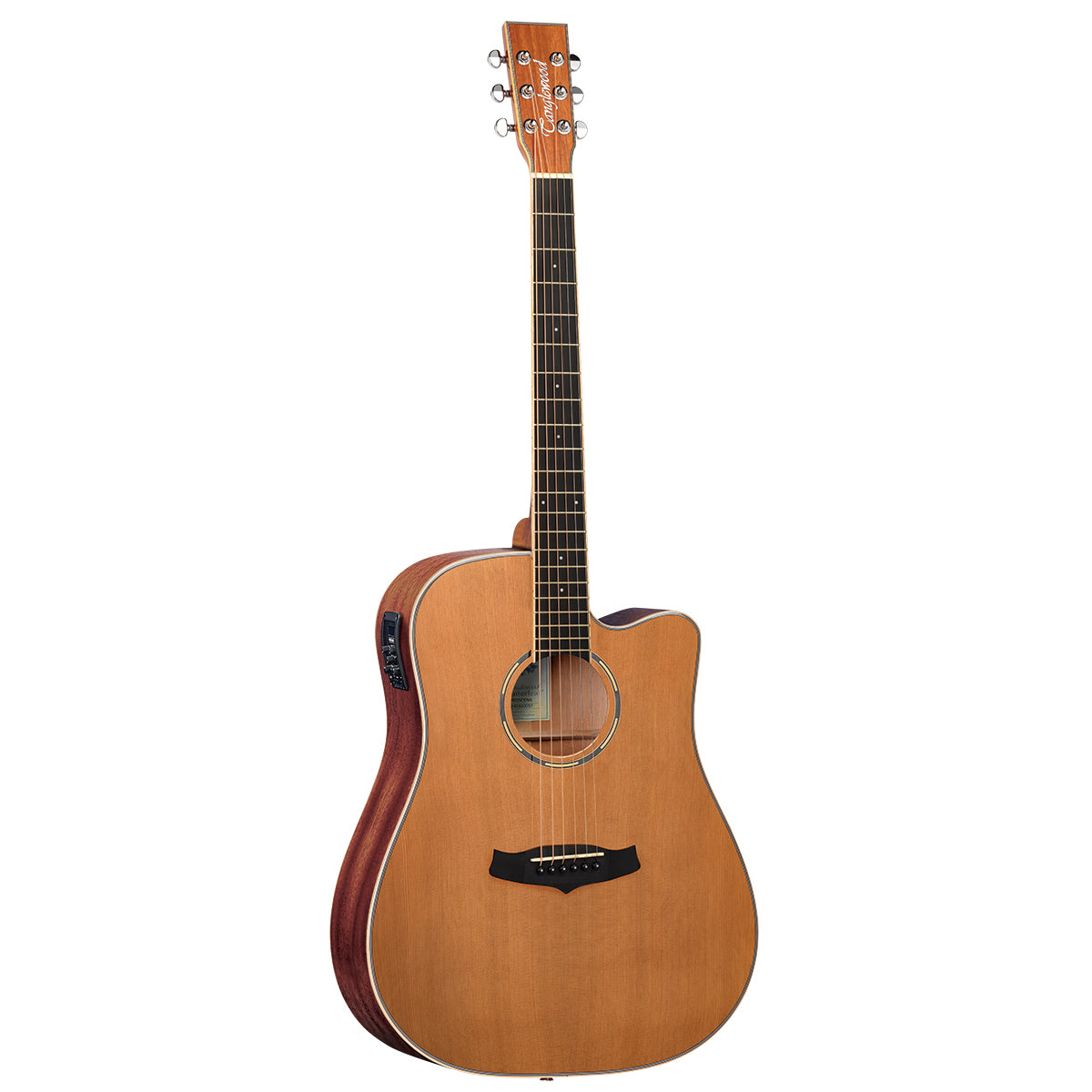 Tanglewood Winterleaf Pro Dreadnought Acoustic