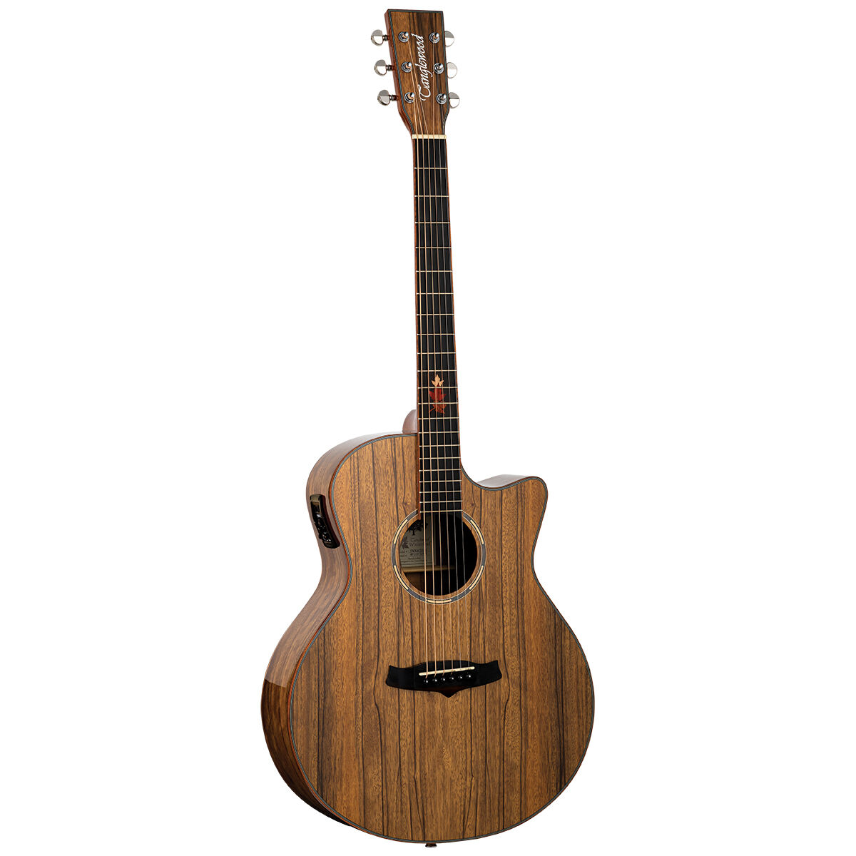 Tanglewood TWX6 W/Leaf Exotic Gloss