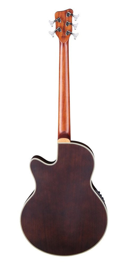 Warwick Rockbass Alien 5-String Acoustic Bass - Natural Transparent Satin