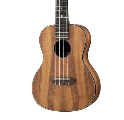 aNueNue AQUA-CK2 Concert Ukulele