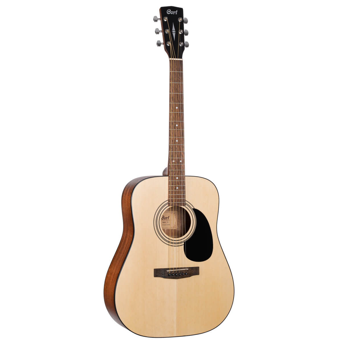 Cort CAP810 - Trailblazer Acoustic Guitar Pack