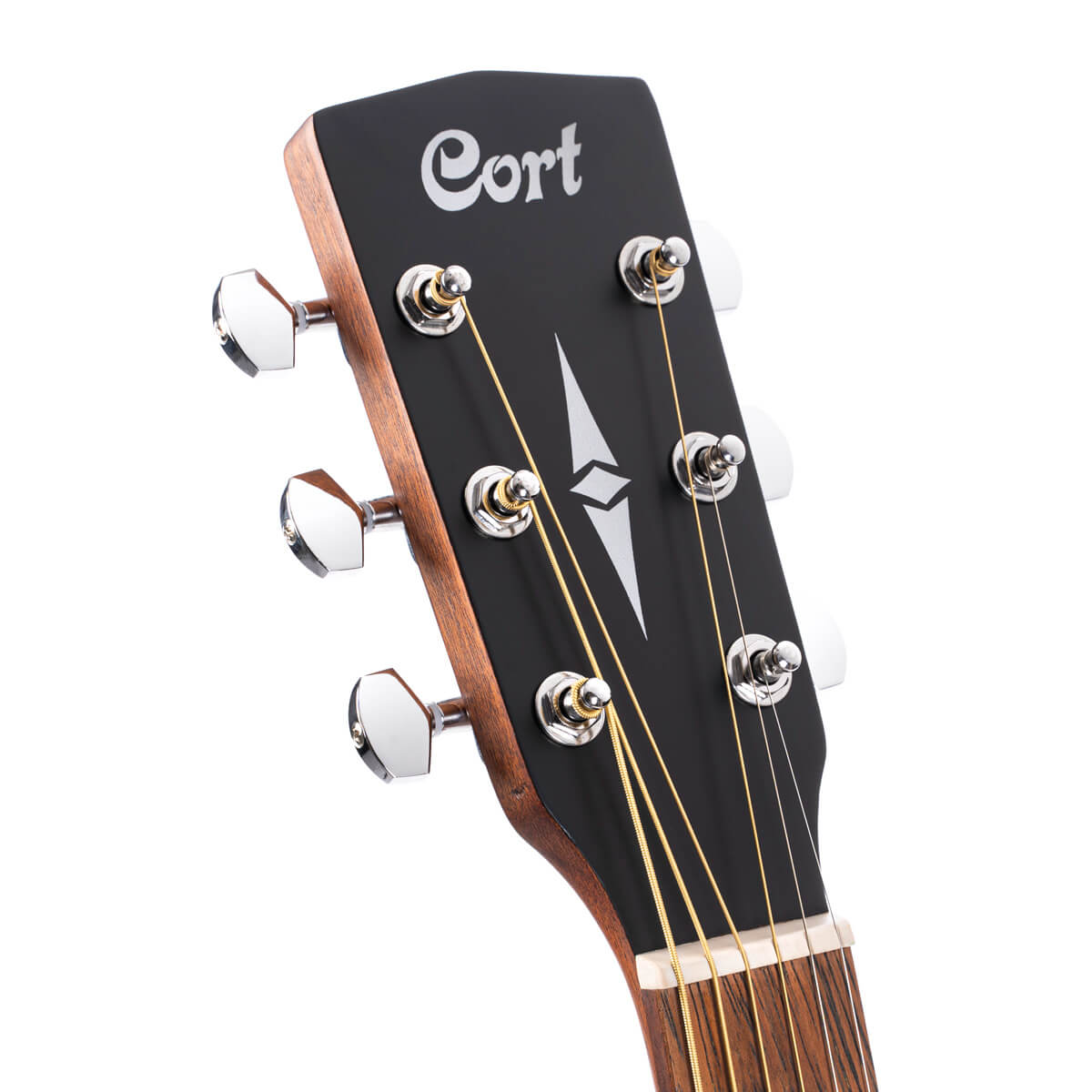 Cort CAP810 - Trailblazer Acoustic Guitar Pack