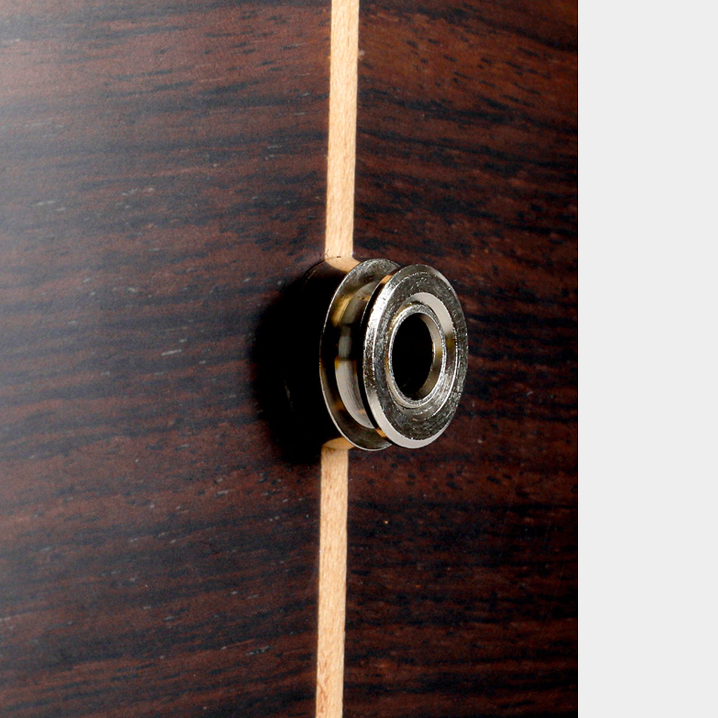 Esteve Crossover Cedar Top & Rosewood Classical Guitar