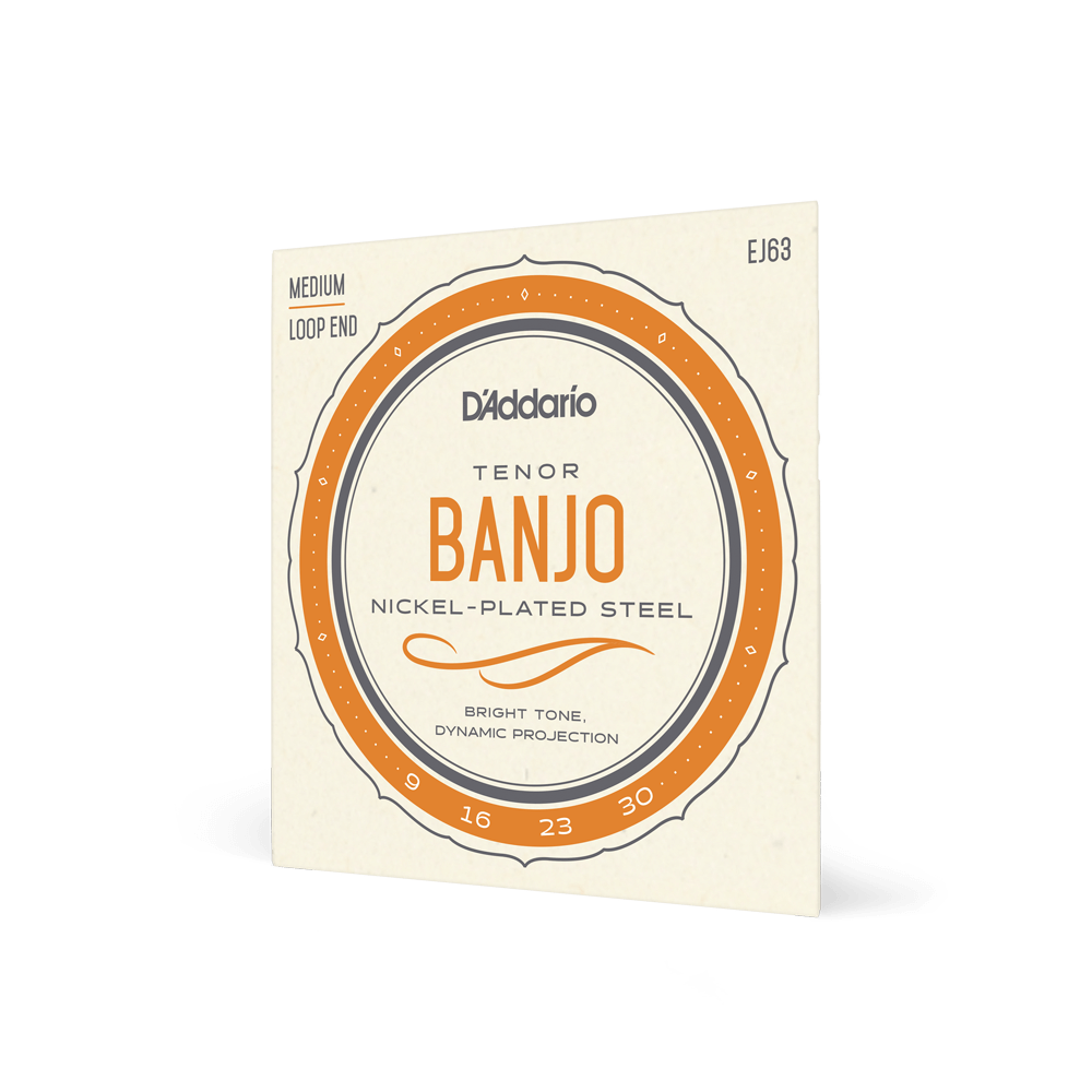 D'Addario EJ63 Tenor Banjo Strings 9-30