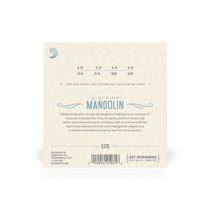 D'Addario EJ73 Mandolin Strings 10-38