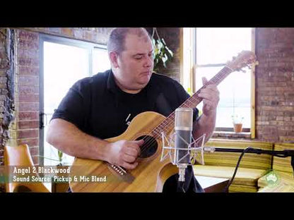 Cole Clark Angel 2EC All Blackwood Acoustic Guitar